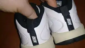 990b1ddd-3969-4372-9fb3-4b501bdcef93.webp