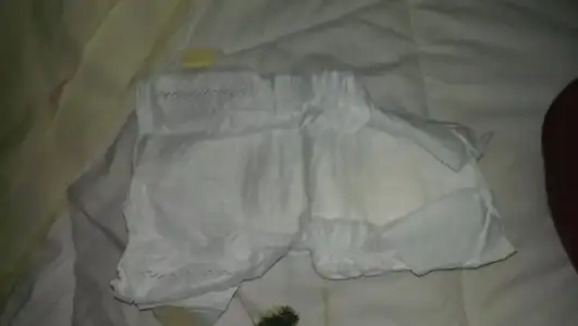 IMAG1616.webp