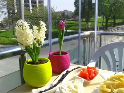 12991080_10207841868259178_5359620923974692258_n.webp