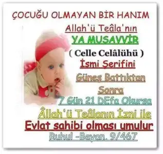 FB_IMG_1461857040237.webp