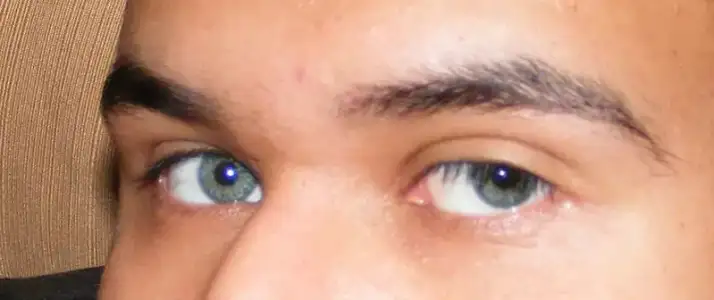 $sophistic yeşiliymiş.webp