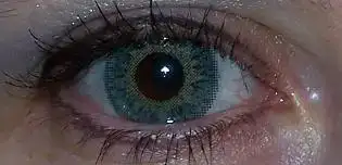 $göz2.webp