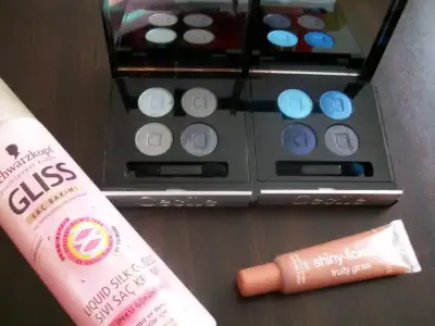 $100_1855.webp $100_1855.webp