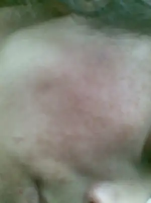 $Görüntü018.webp