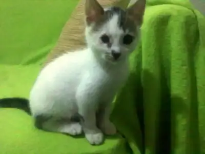 $091120111133.webp