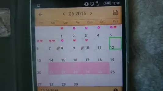 13446056_10208746880402852_1610834918_o.webp