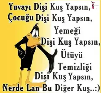 sda.webp