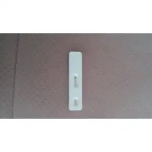 PhotoGrid_1465830230815.webp