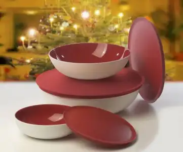 $TUPPERWARE-BERRAK.webp