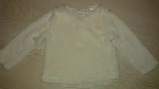 14.webp