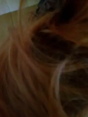 $15112011154.webp