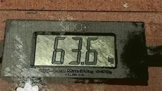 2016-08-11 06.02.25.webp