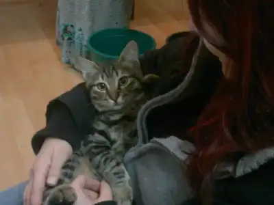 2013-01-07-311.webp