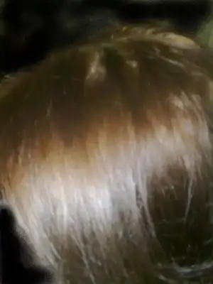 $191120112100.webp $191120112100.webp