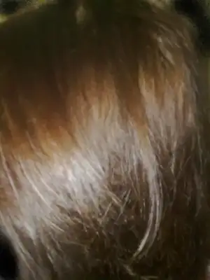 $191120112097.webp $191120112097.webp