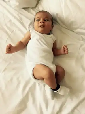 image.webp image.webp