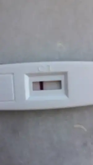 image.webp