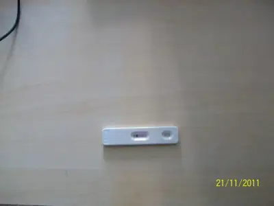 $100_1557.webp