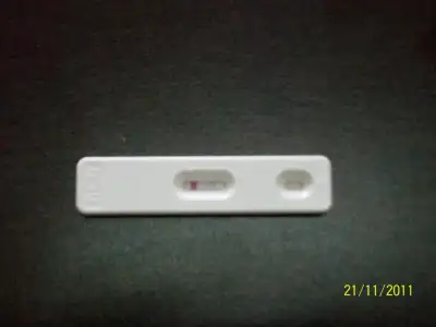 $100_1560.webp