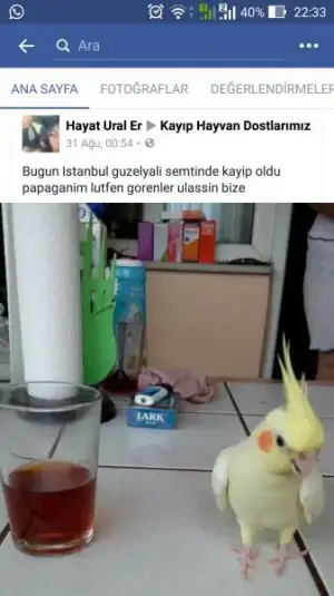 Screenshot_2016-09-09-22-33-50.webp