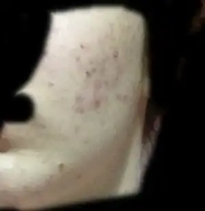jnokşk.webp