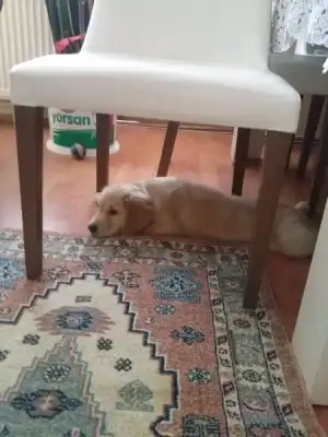 2016-09-15 12.40.10.webp