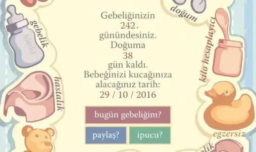 image.webp
