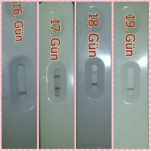 PhotoGrid_1474193317081.webp