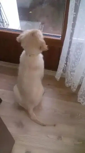 2016-09-20 17.44.48.webp