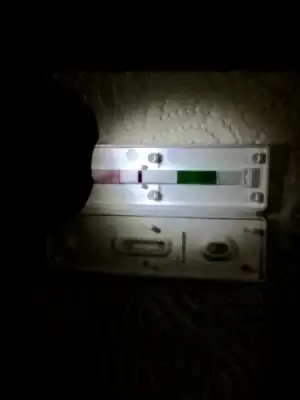 image.webp