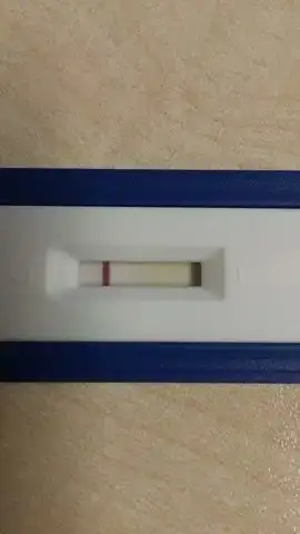 öö.webp