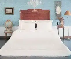 $images8.webp $images8.webp