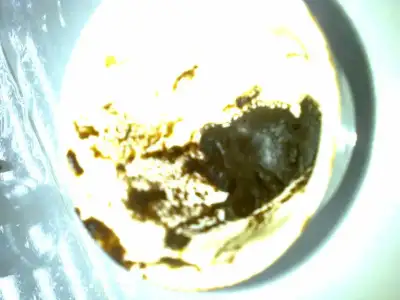 $Foto&#287;raf0057.webp