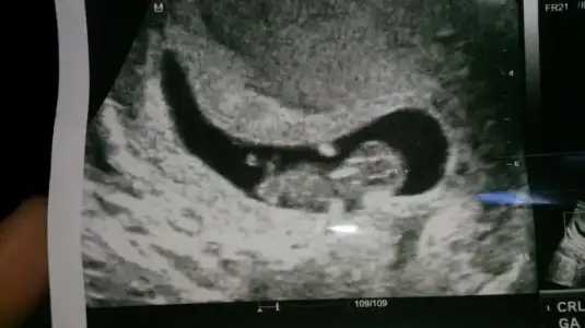 WhatsApp Image 2016-10-28 at 12.38.00.webp