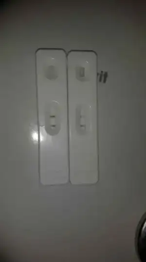 IMG-20161030-WA0024.webp