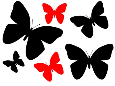 13.webp