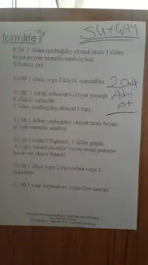 1. İlk 3 hafta.webp