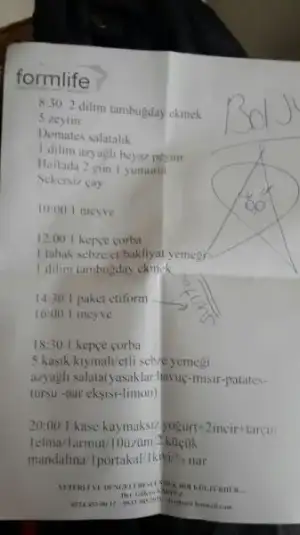 2. 3 hafta.webp