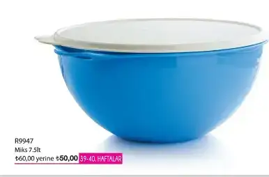 yogurt-mayalama.webp