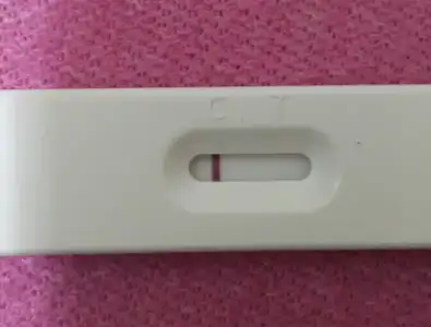 2016-11-07 22.43.55.webp