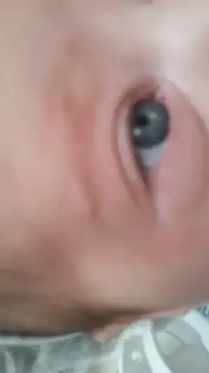 14786148449851012299130.webp