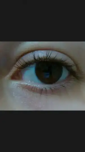 Screenshot_2016-11-13-20-51-29.webp