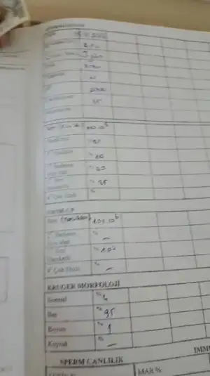 test.webp