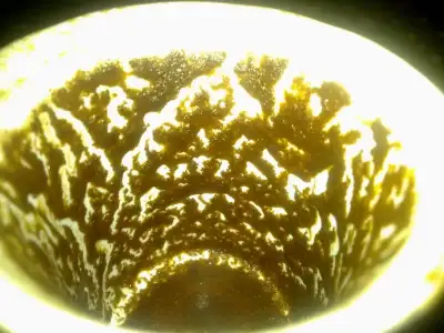 $26112011393.webp