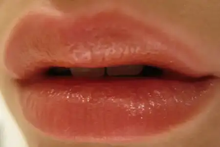 $IMG_3093.webp $IMG_3093.webp