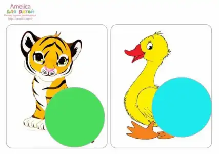 14690964_1753687618216294_3555716909409035895_n.webp