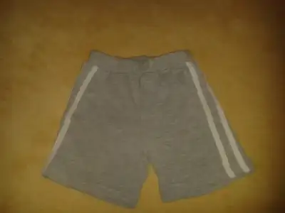 295.webp