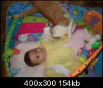 $fistikgulserq6_th.webp