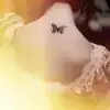 $butterfly.webp