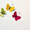 $butterflies.webp